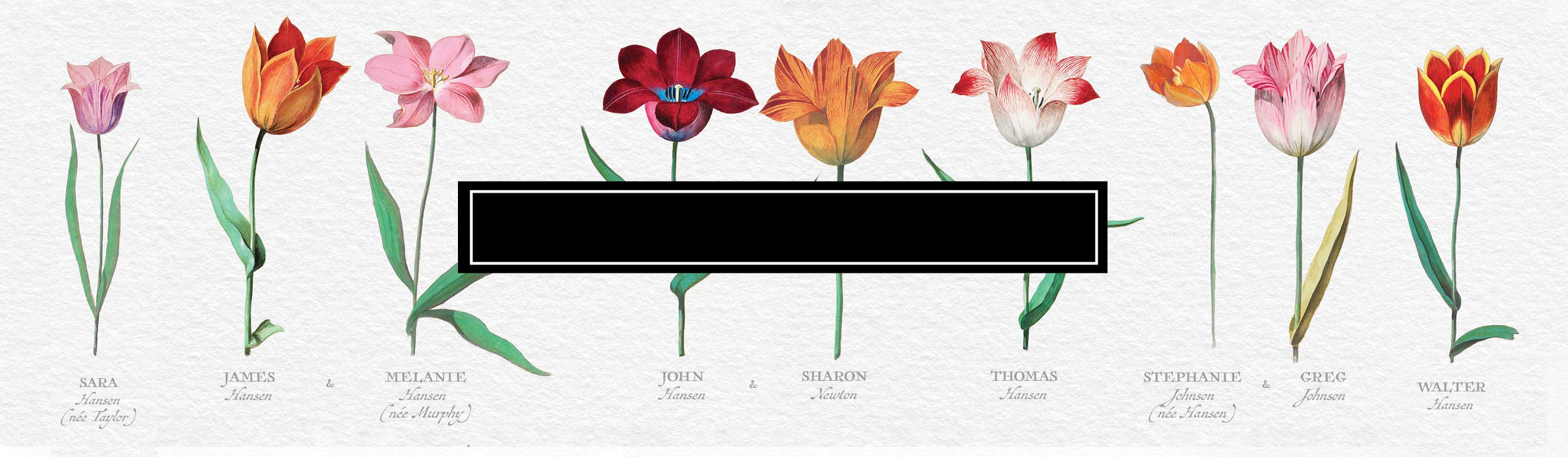 Spring 2021 Collection