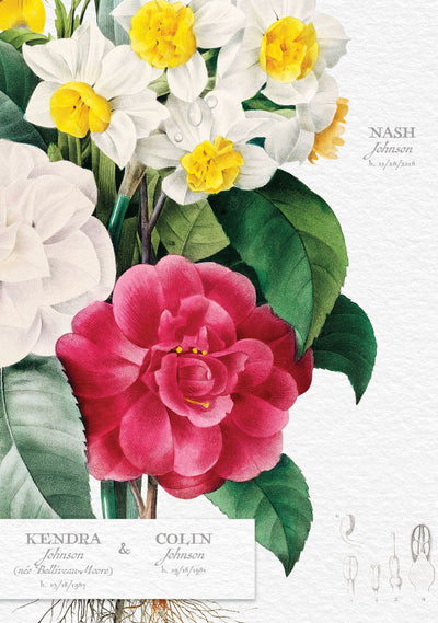 Close up of Camellia Narcissus and Pansy Family Tree Design Family Botanic