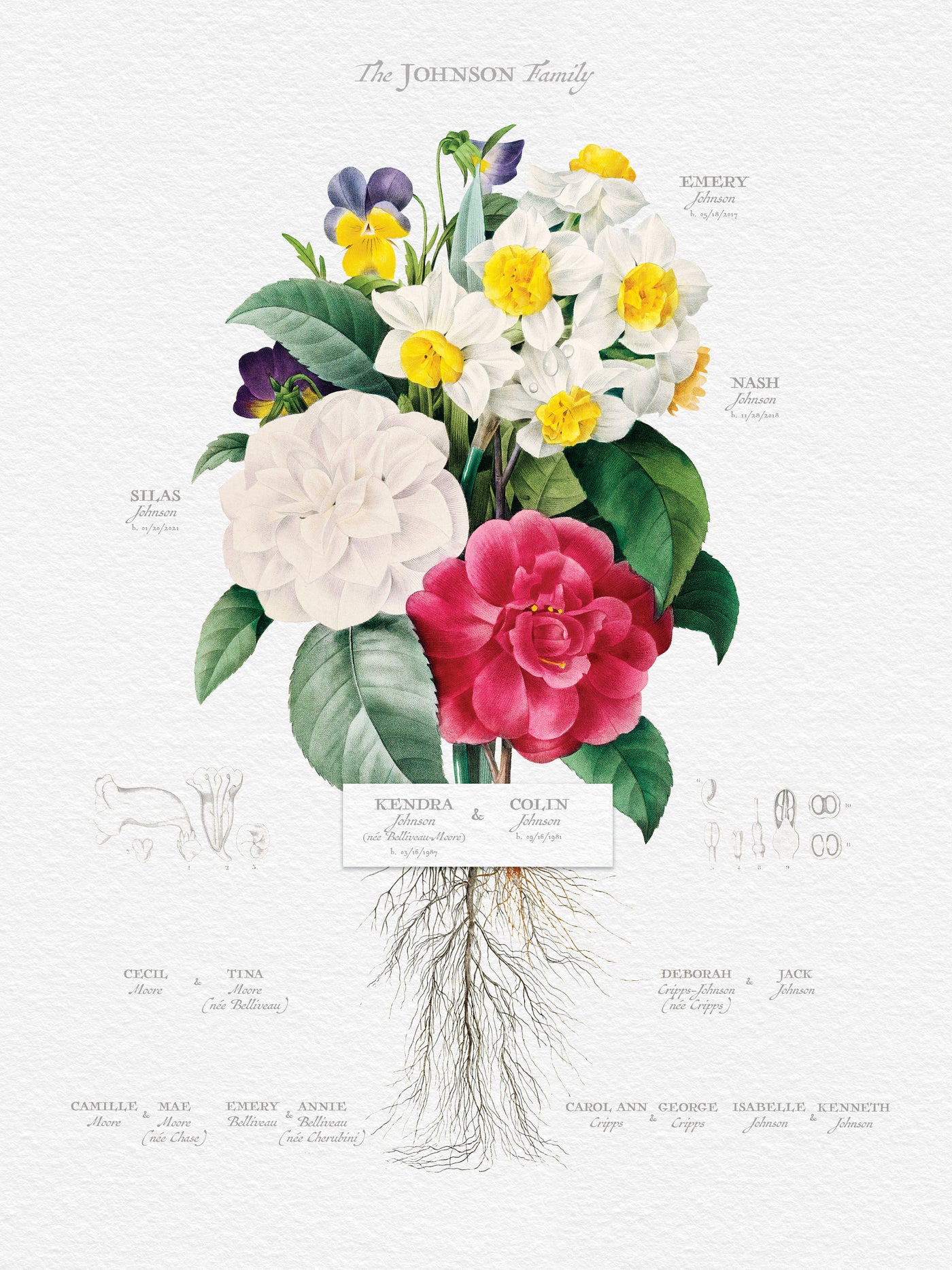 Print Only of Camellia Narcissus and Pansy Family Tree design Family Botanic