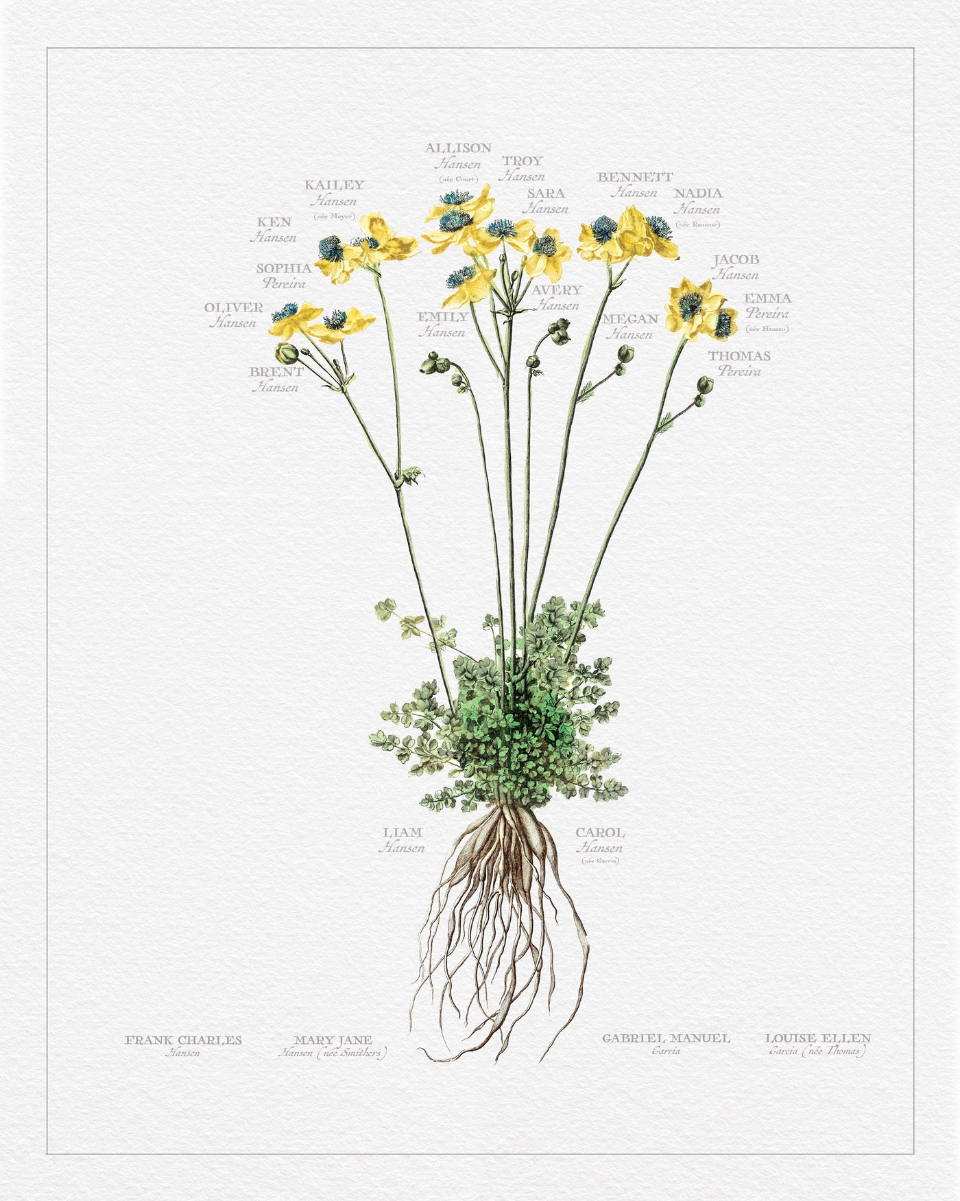 Dutch Wild Flower Family Botanic Print only image