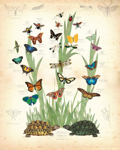 FRESHWATER MARSH FAMILY BOTANIC - Family Botanic - Print Only
