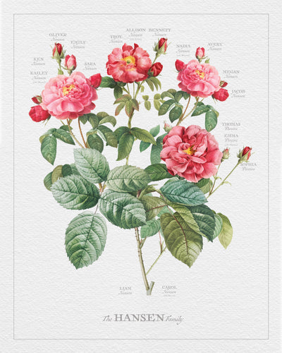 Vintage Classic Rose Family Botanic -print only