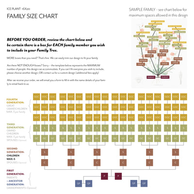 Family Size Chart  16 x 20 - VINTAGE Ice Plant FAMILY BOTANIC 