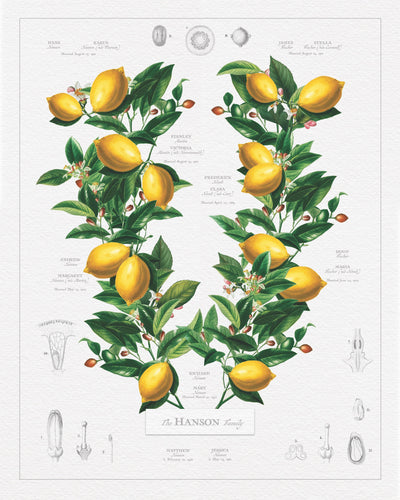 Ancestor Classic Lemon Family Botanic Print only