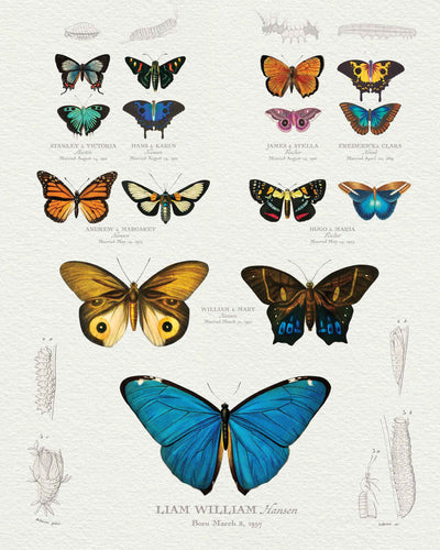 Ancestor Butterfly & Moth Family Botanic Print only