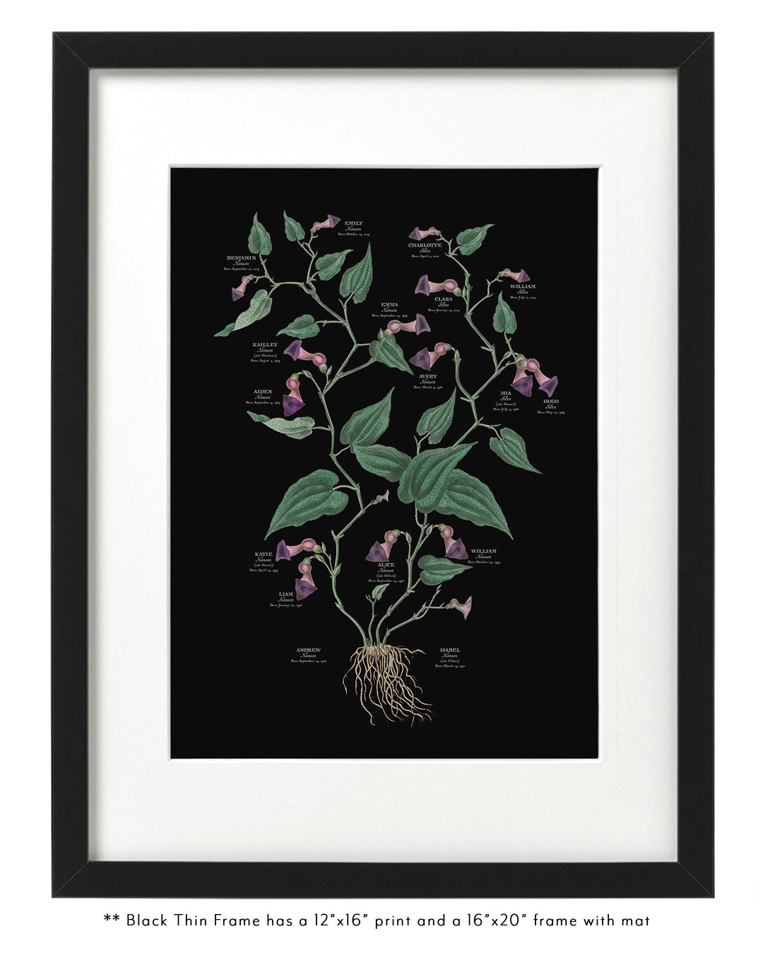 Virginia Snakeroot on Black Family Botanic-Custom & Framed Family Tree