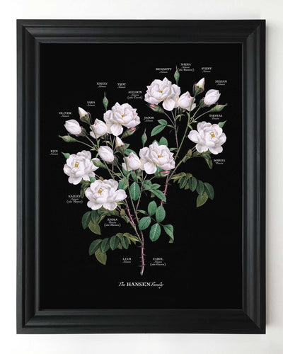 Vintage White Rose Family Botanic Family Tree in black frame