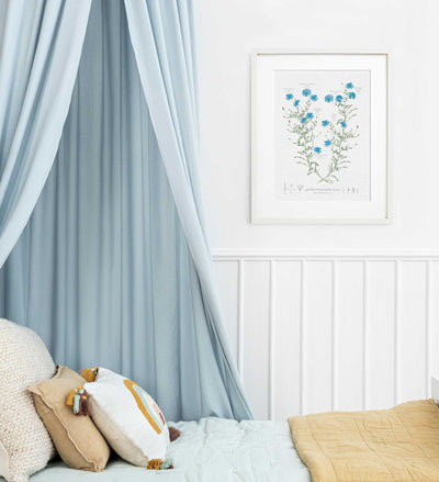 Classic Blue Aster Family Tree in Child room