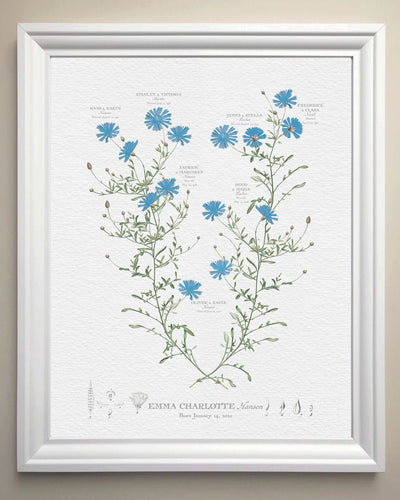 CLASSIC BLUE ASTER FAMILY BOTANIC - Family Botanic - white frame