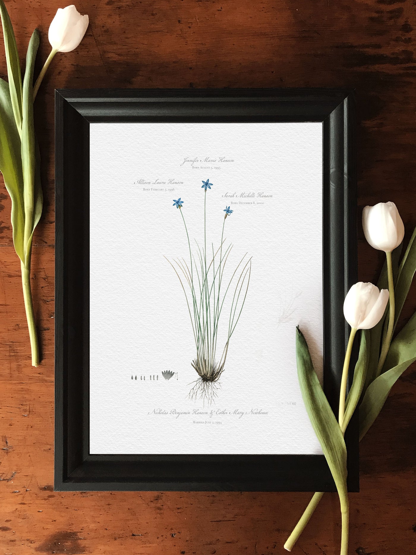 VINTAGE BLUE LILY FAMILY BOTANIC - lifestyle shot with tulips