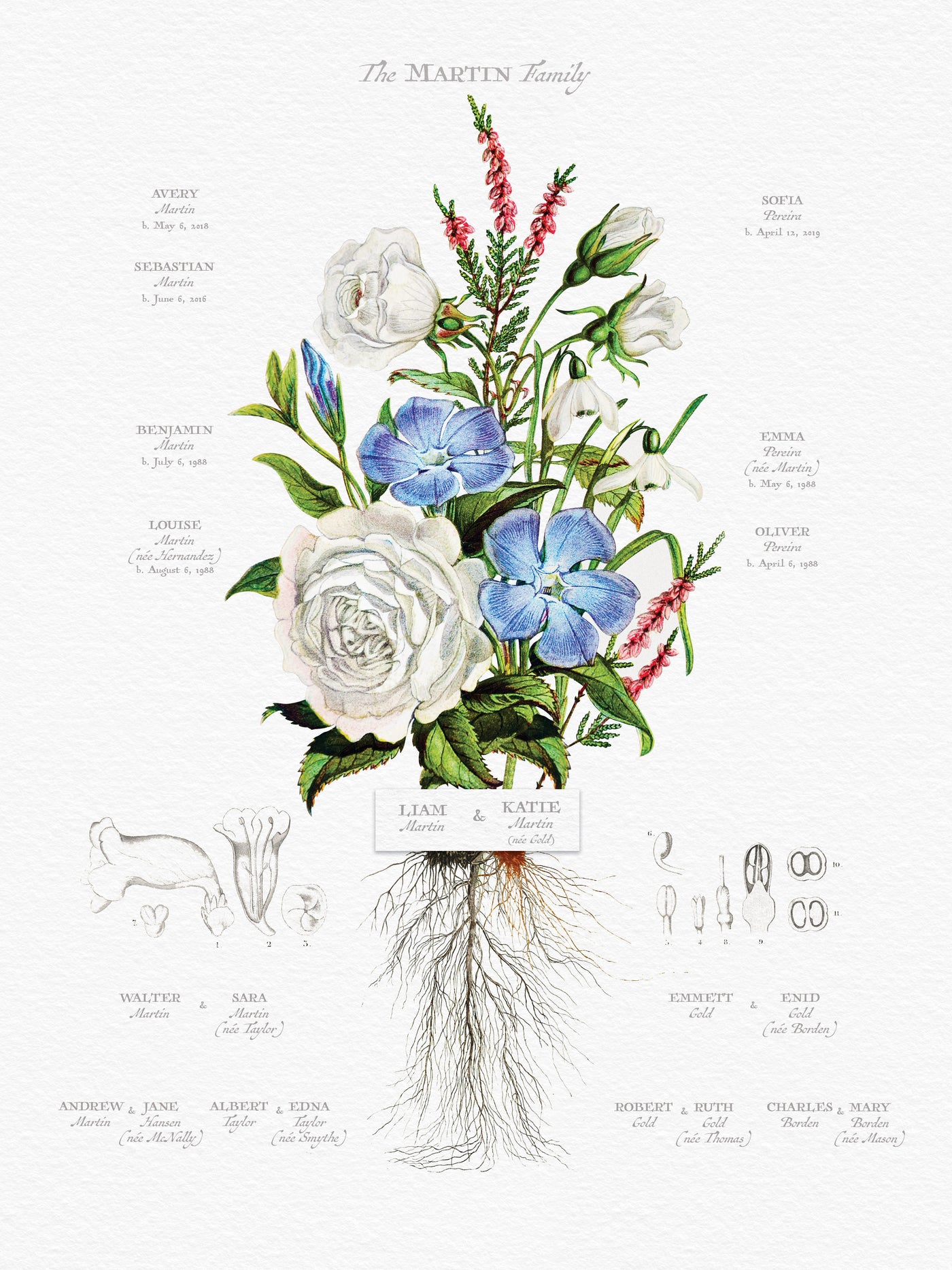 White Rose Bouquet Family Tree Family Botanic Print