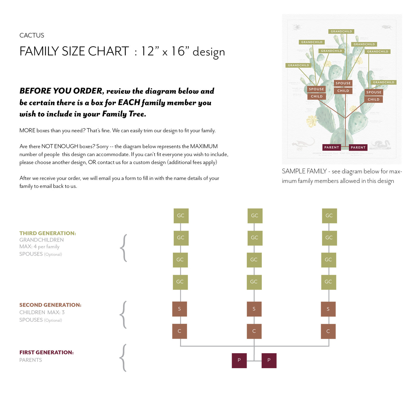 Cactus Classification Chart Vintage Cactus Family Botanic - Custom & Framed Family Tree Wall Decor