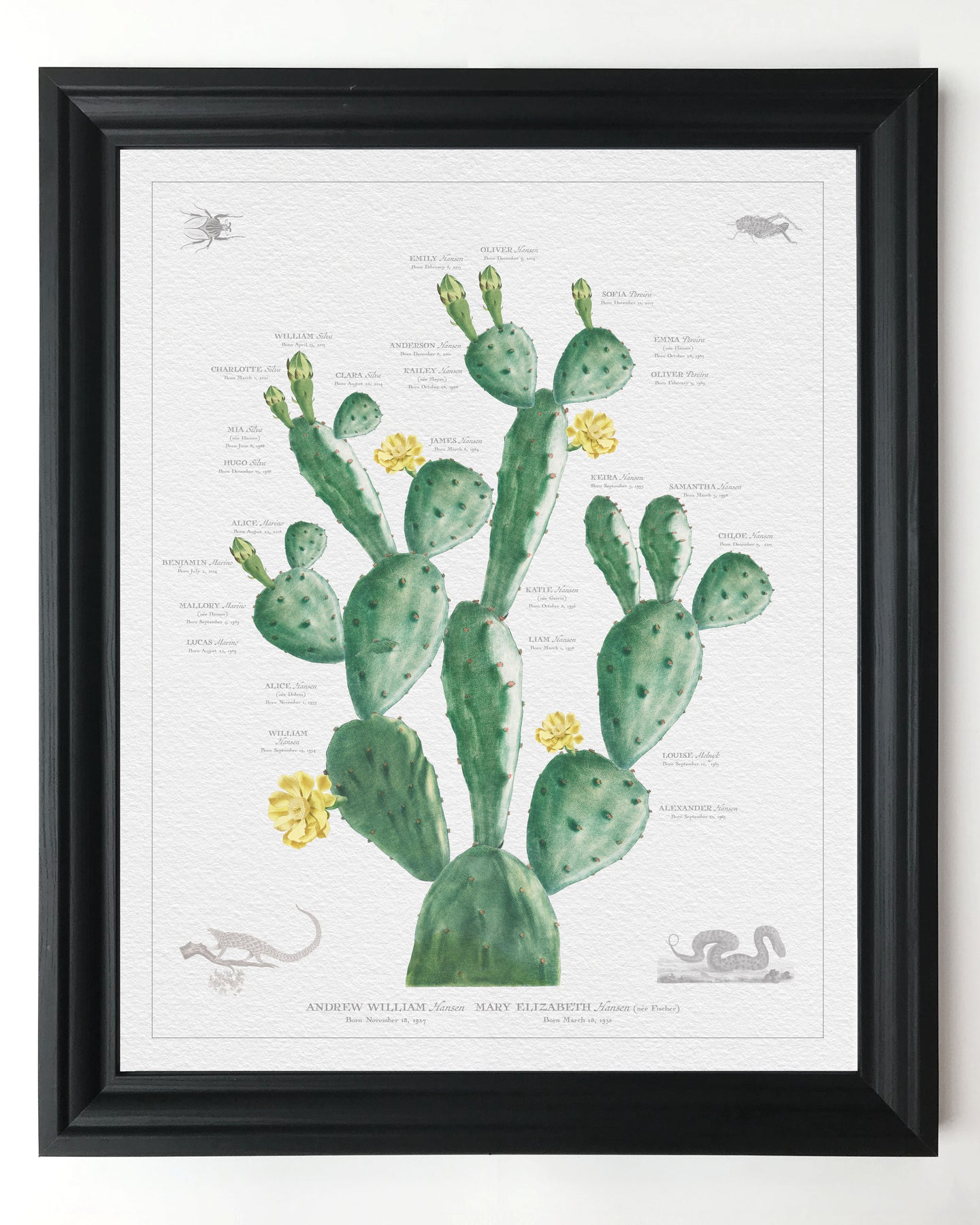 Vintage Cactus Family Botanic - Custom & Framed Family Tree Wall Decor