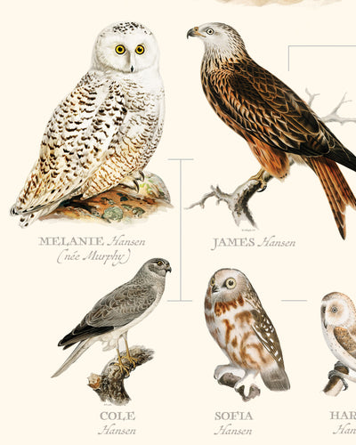 Vintage Owl and Hawk Family Botanic close up