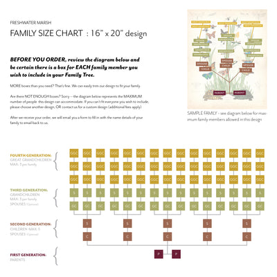 Family Size Chart FRESHWATER MARSH FAMILY BOTANIC - Family Botanic
