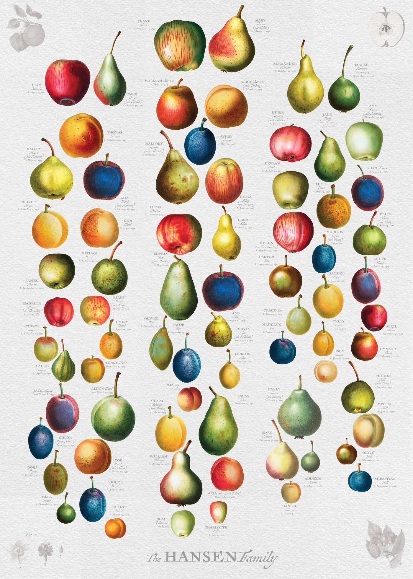 Orchard Family Botanic - Print only