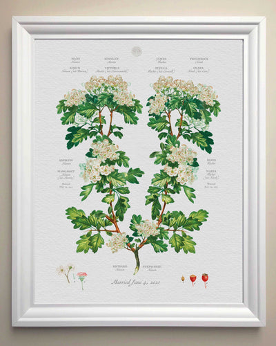 Vintage Hawthorne Family Botanic Family tree in white frame