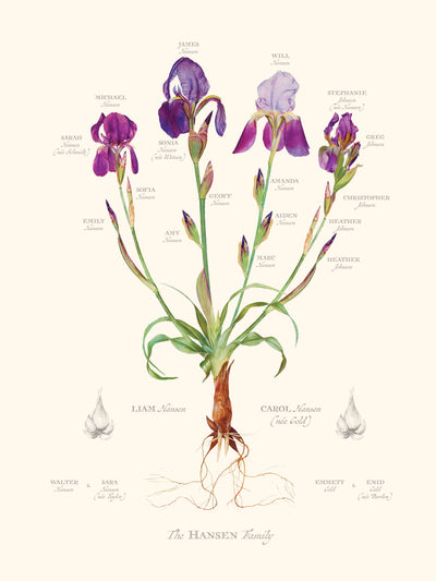 Iris Family Botanic Print Only image 12 x 16