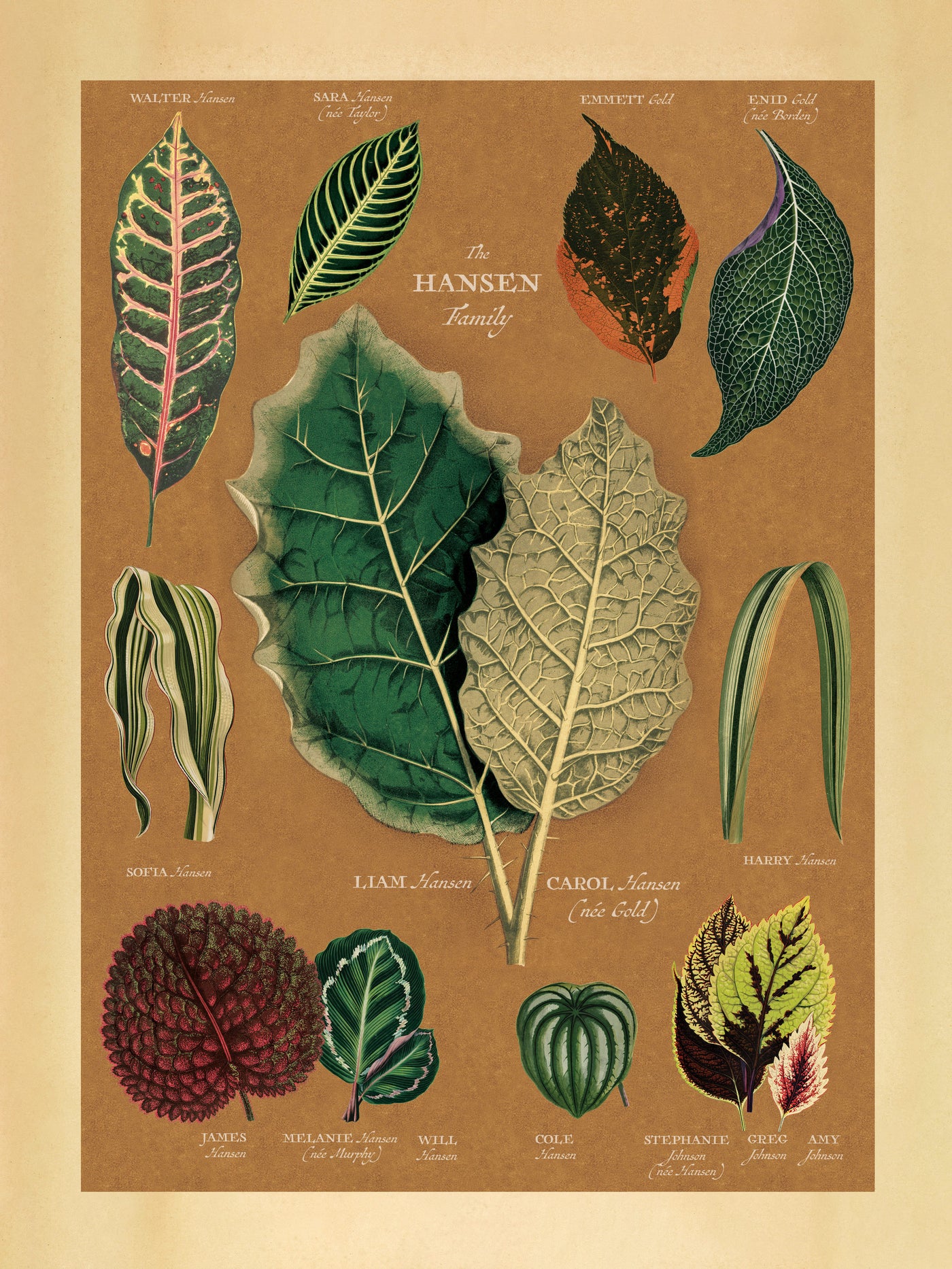 Vintage Leaves Family Botanic Family Tree print only