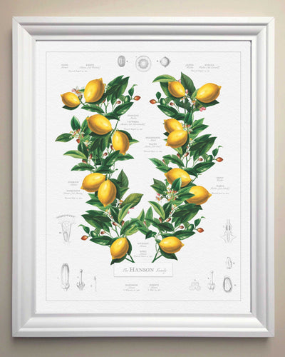 Classic lemons Family Botanic in White Frame