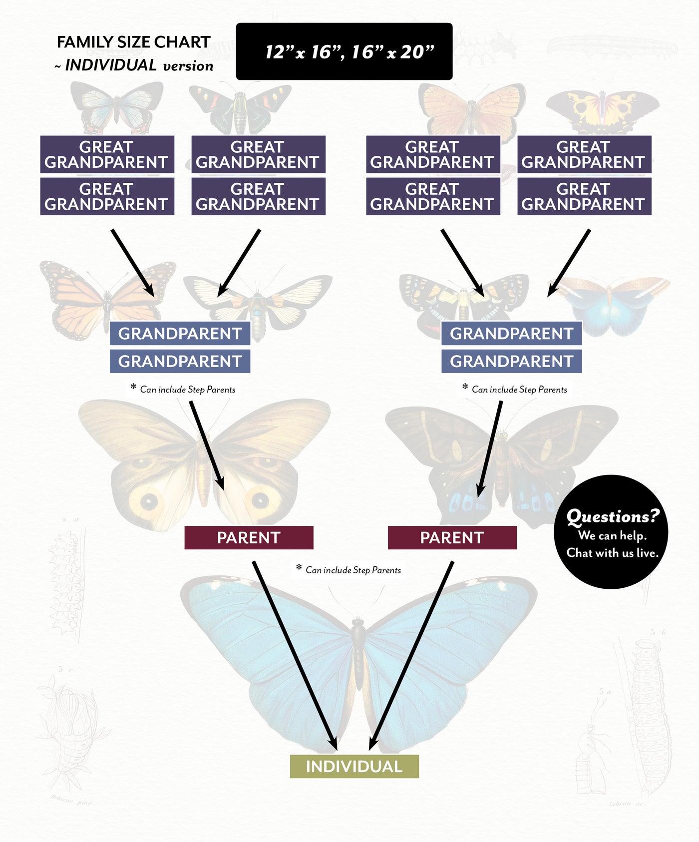 Family Size Chart for Ancestor Butterfly Individual 12 x 16 and 16 x 20 size