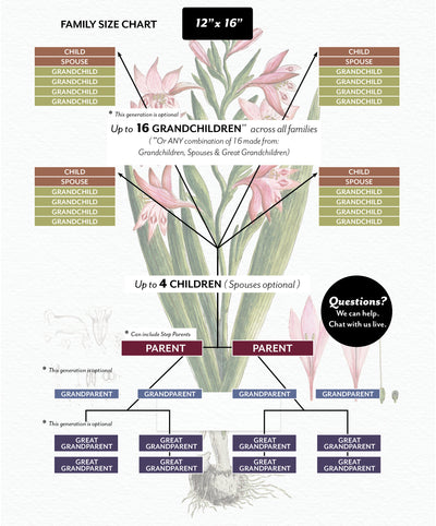 Size Chart for Gladiolus Family Botanic