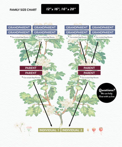 Size Chart for Vintage Hawthorne Family Botanic Family Tree