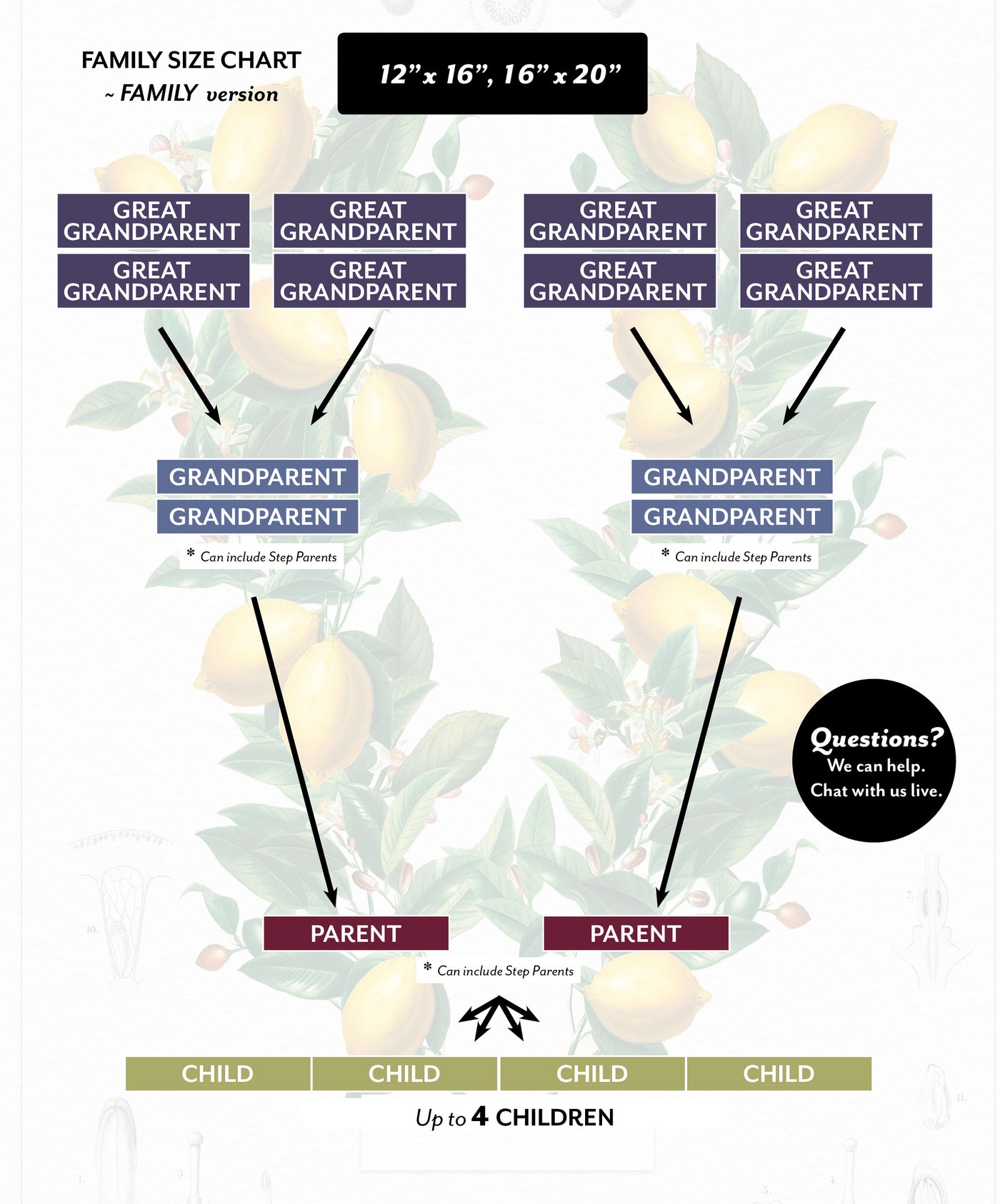 Family Size Chart for Siblings - Classic Lemon Ancestor Tree