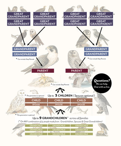 Size Chart Owl and Hawk Family Botanic Family Tree