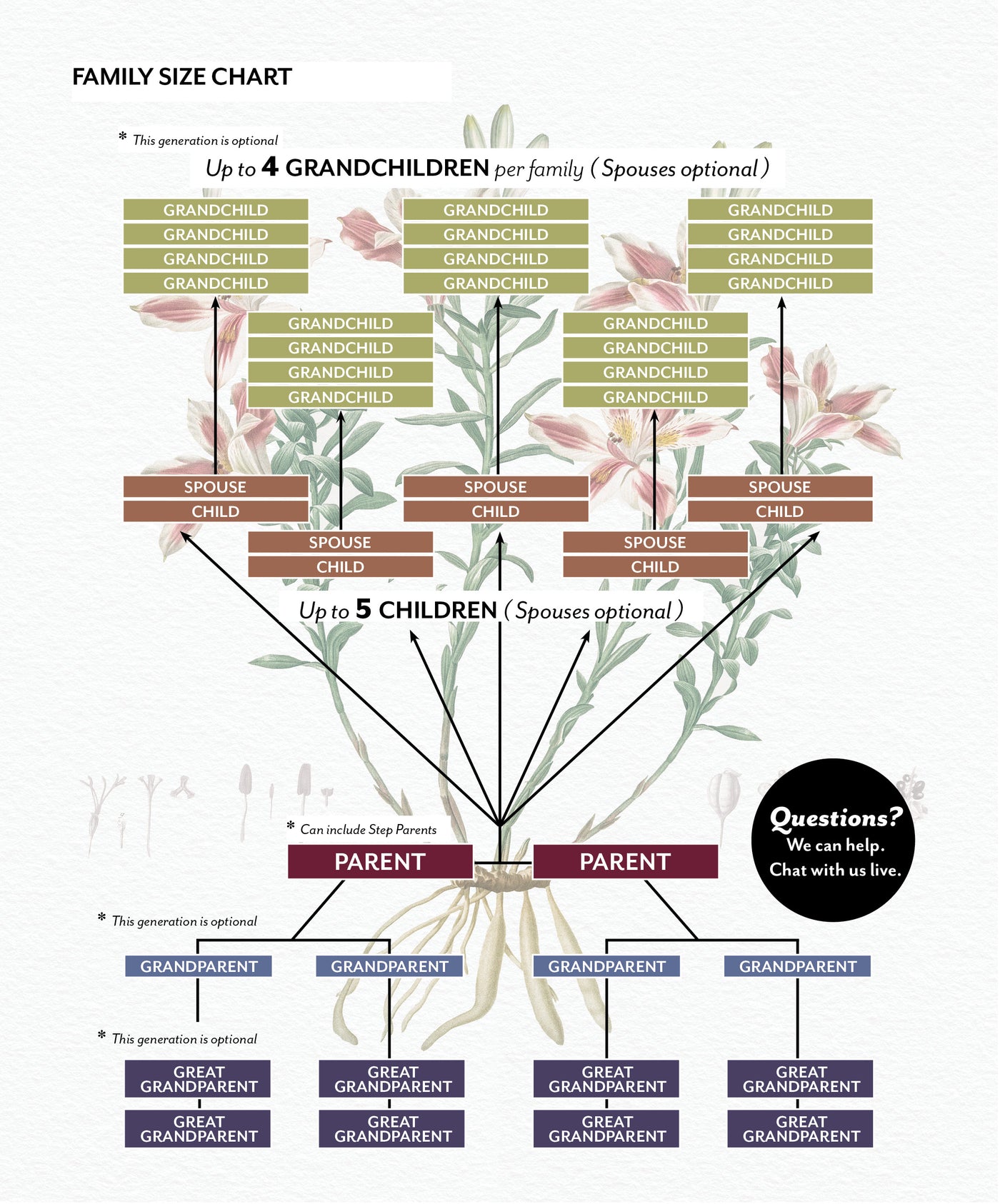 Size Chart for Peruvian Lily Family Botanic Family Tree