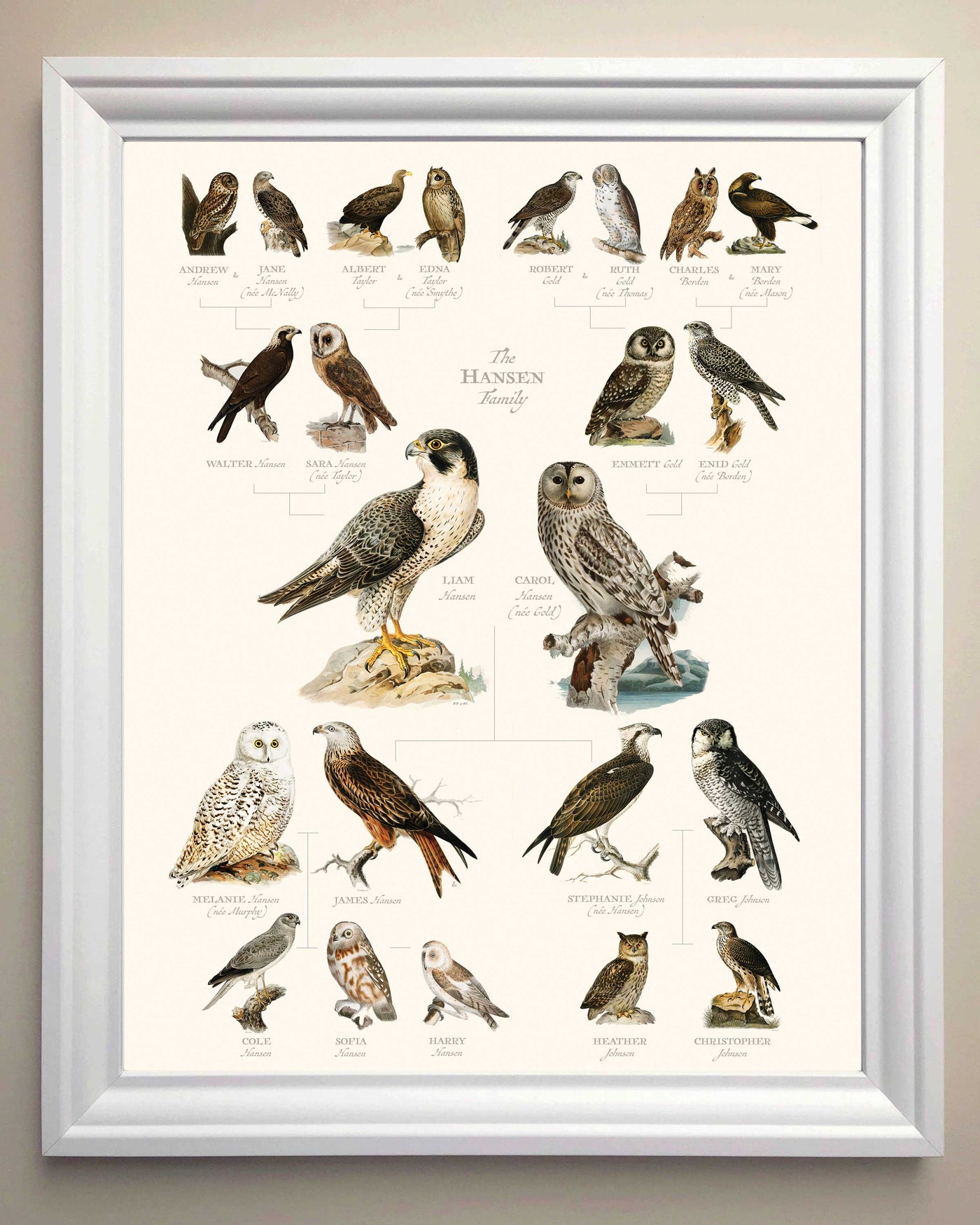 Vintage Owl and Hawk Family Botanic Family Tree in White Frame