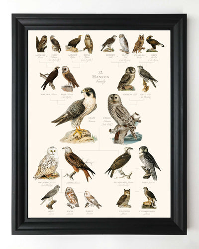 Vintage Owl and Hawk Family Botanic Family Tree in black frame