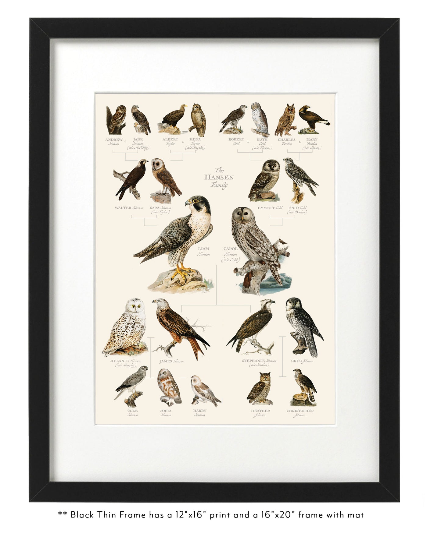Vintage Owl and Hawk Family Botanic Family Tree in Thin black Frame