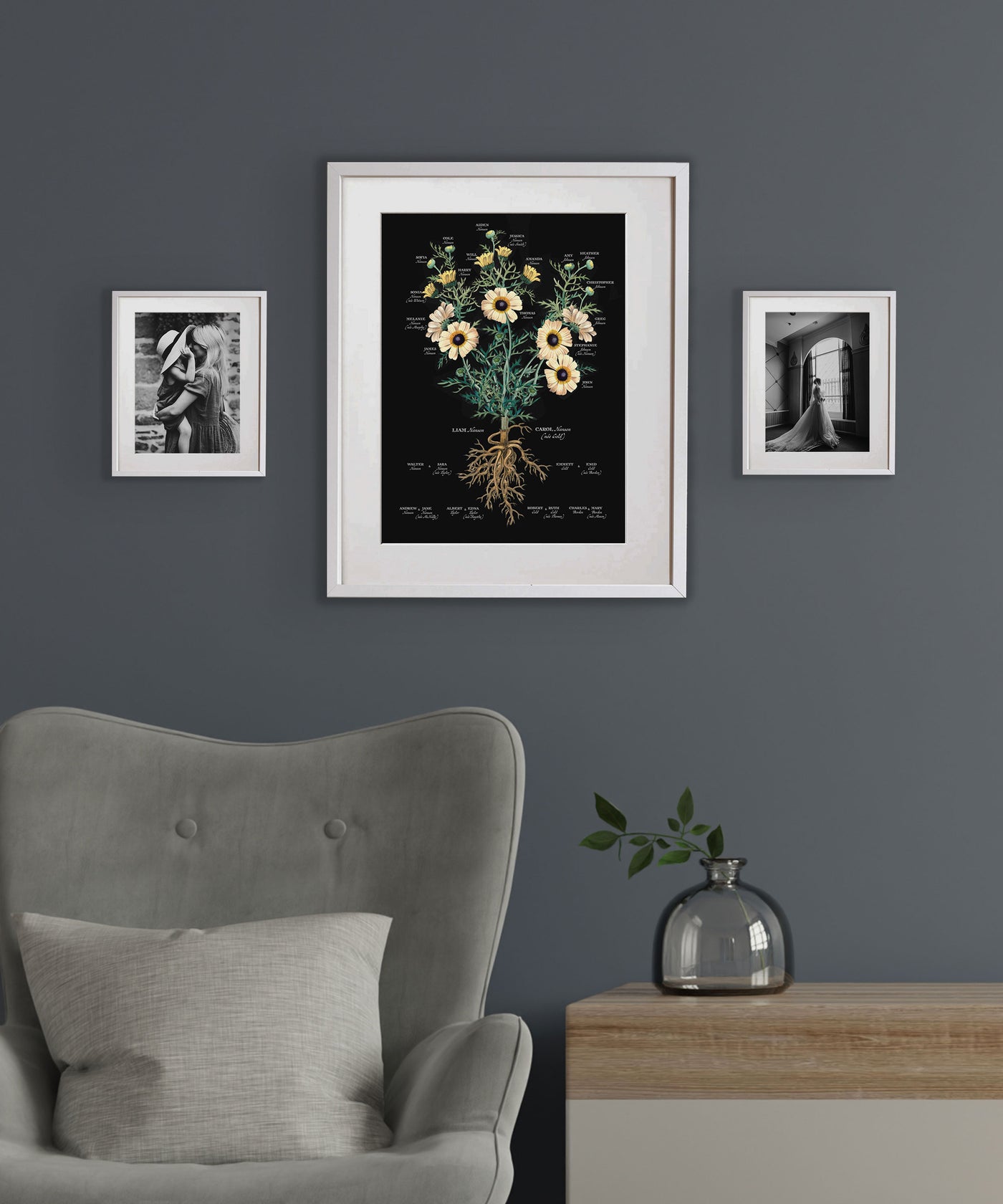 Painted Daisy on Black Family Botanic Lifestyle image