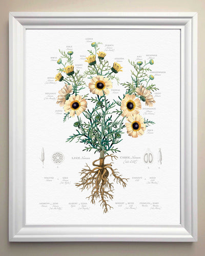 Painted daisy in a white frame