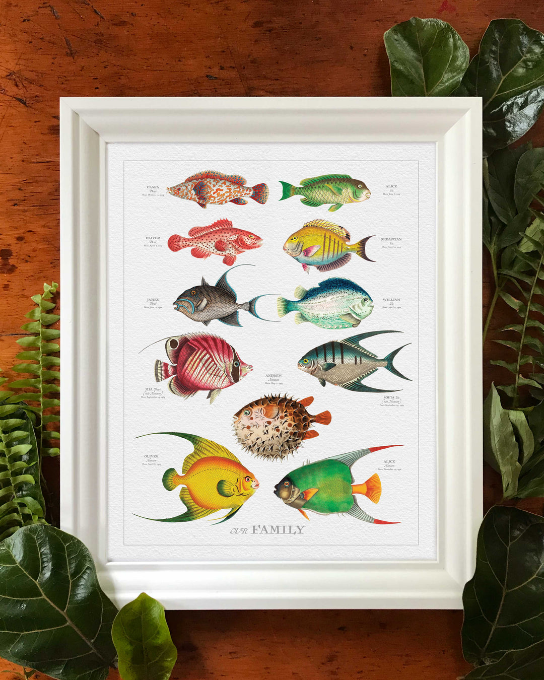 PORTRAIT VINTAGE FISH FAMILY BOTANIC- Custom & Framed Family Tree