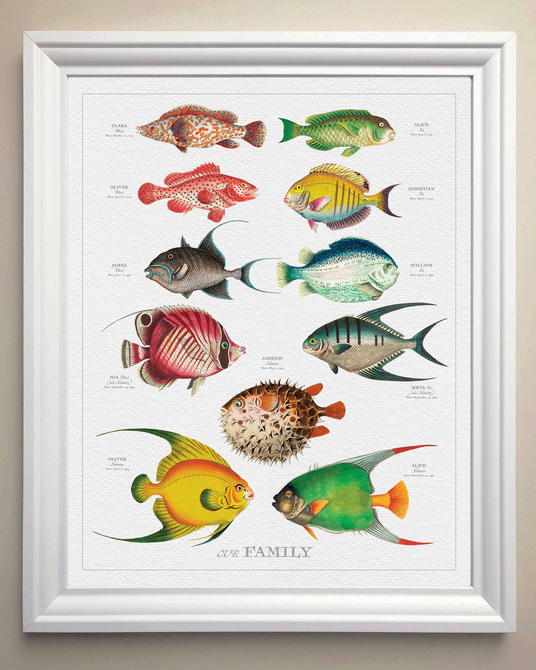 Portrait-fish-with-white-
