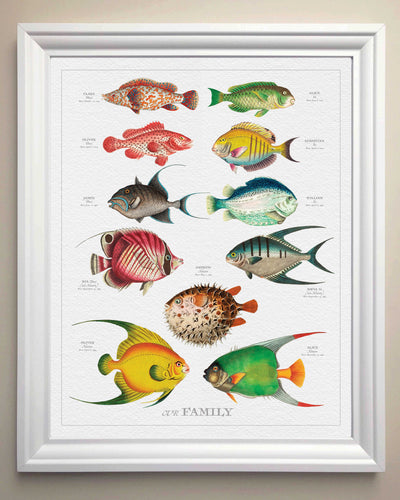 PORTRAIT VINTAGE FISH FAMILY BOTANIC - Family Botanic - white frame