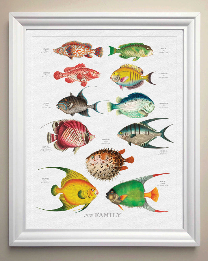 Portrait-fish-with-white-