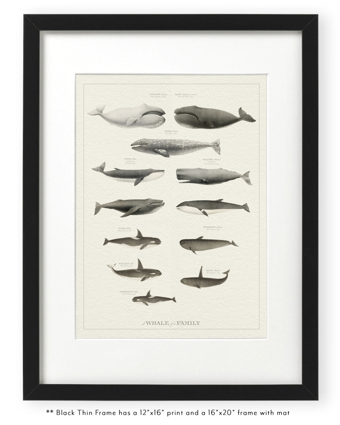 Whale Writing Frame