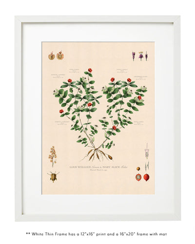 BUNCHBERRY FAMILY BOTANIC - Family Botanic - Thin White Frame