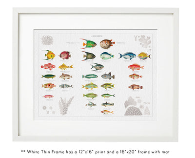 Vintage Fish Family Botanic in thin white frame