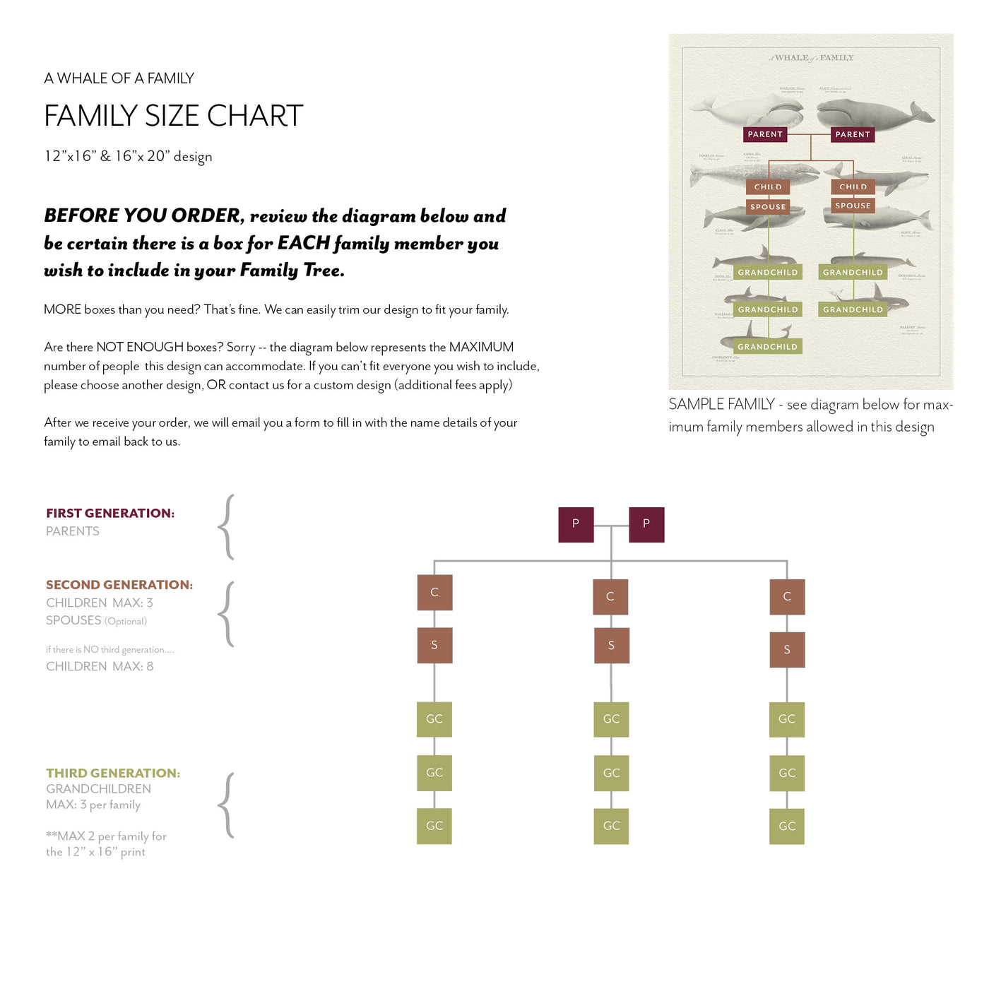 WHALE OF A FAMILY BOTANIC - Family Botanic- family size chart
