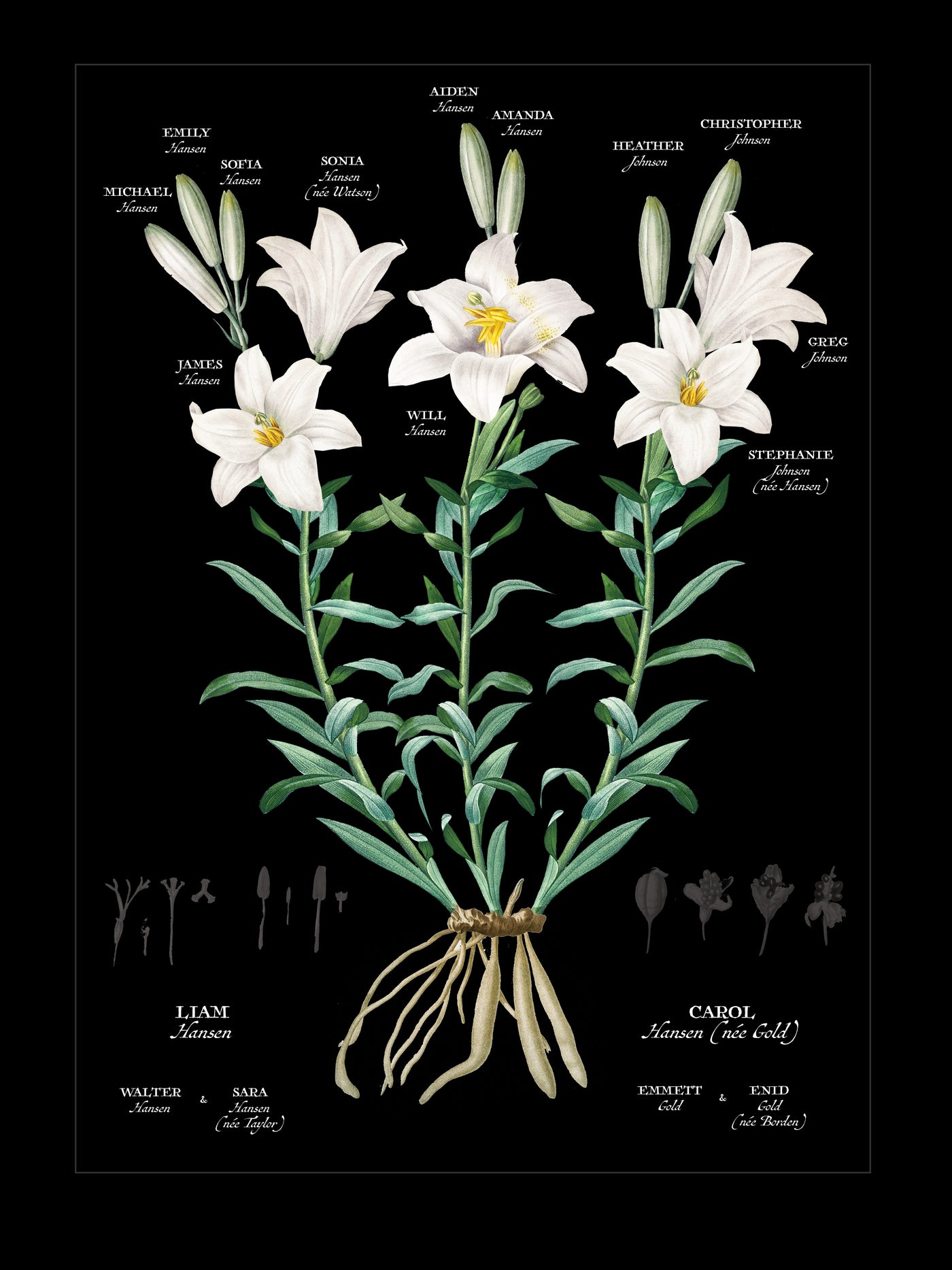 White Lily on Black Family Botanic Family Tree print only