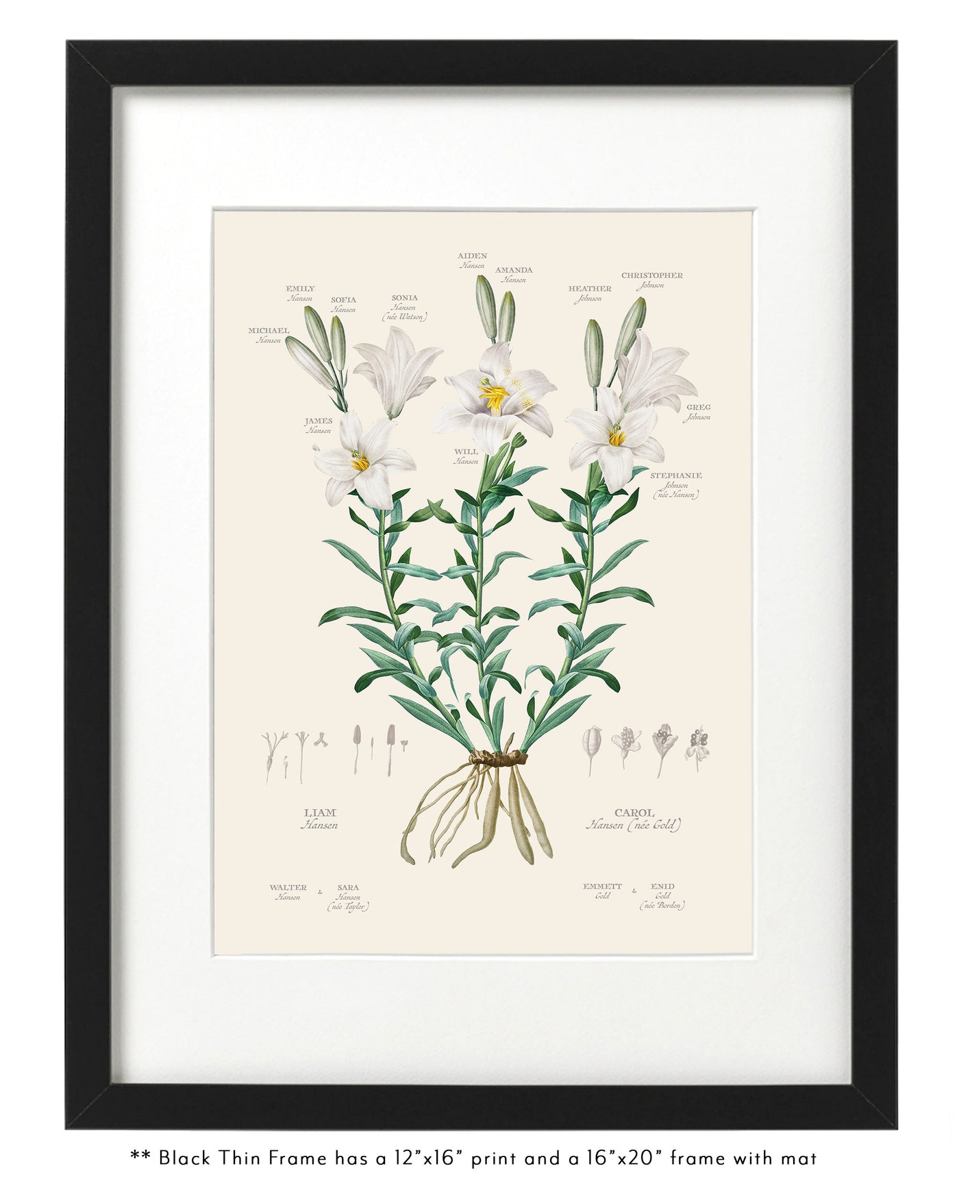 White Lily Family Botanic Family Tree in Thin Black frame