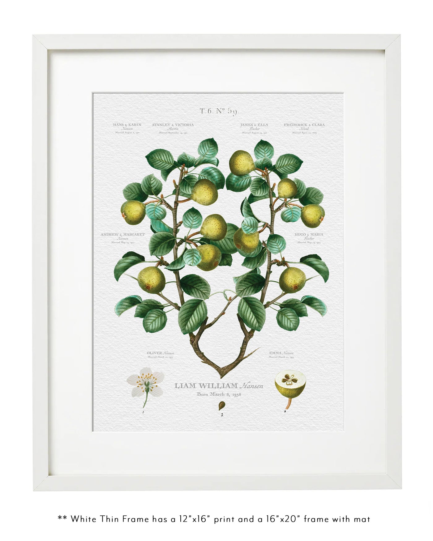 CLASSIC PEAR FAMILY BOTANIC - Family Botanic in Thin White Frame