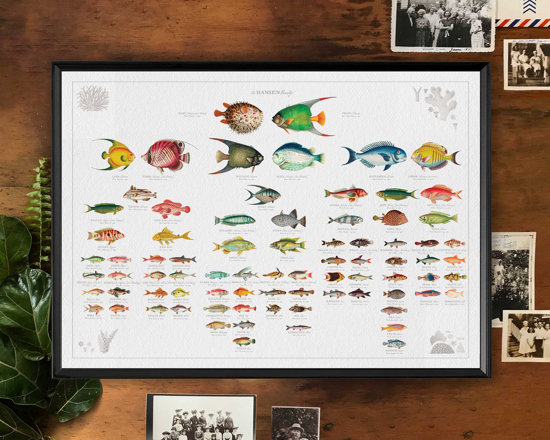 Fish Genealogic Tree Large Fish Family Botanic - Custom & Framed Family Tree Wall Art