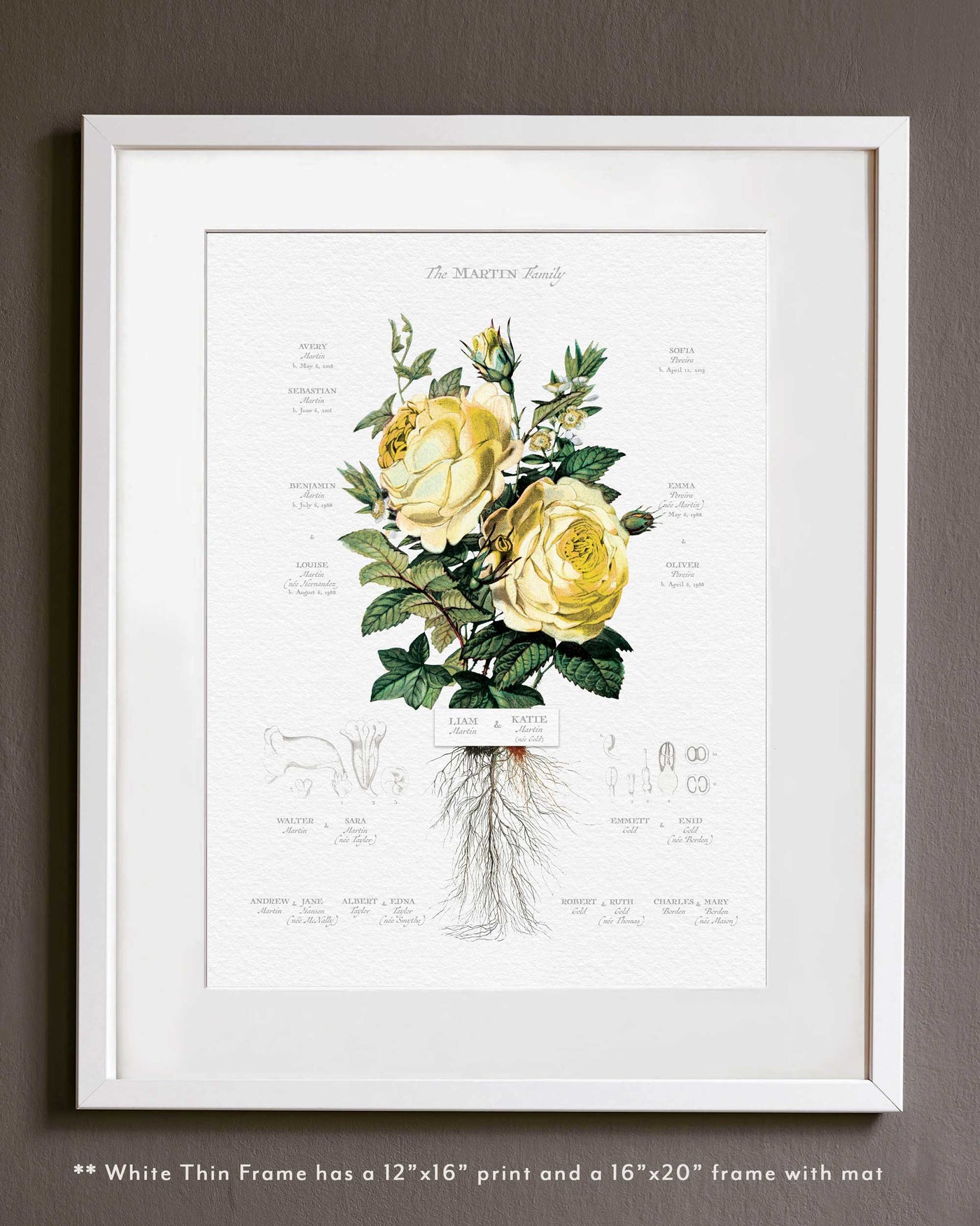 Yellow Rose Family Tree Family Botanic in Thin White Frame