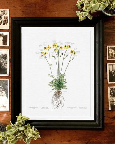 Dutch Wild Flower Family Botanic Lifestyle image in black frame