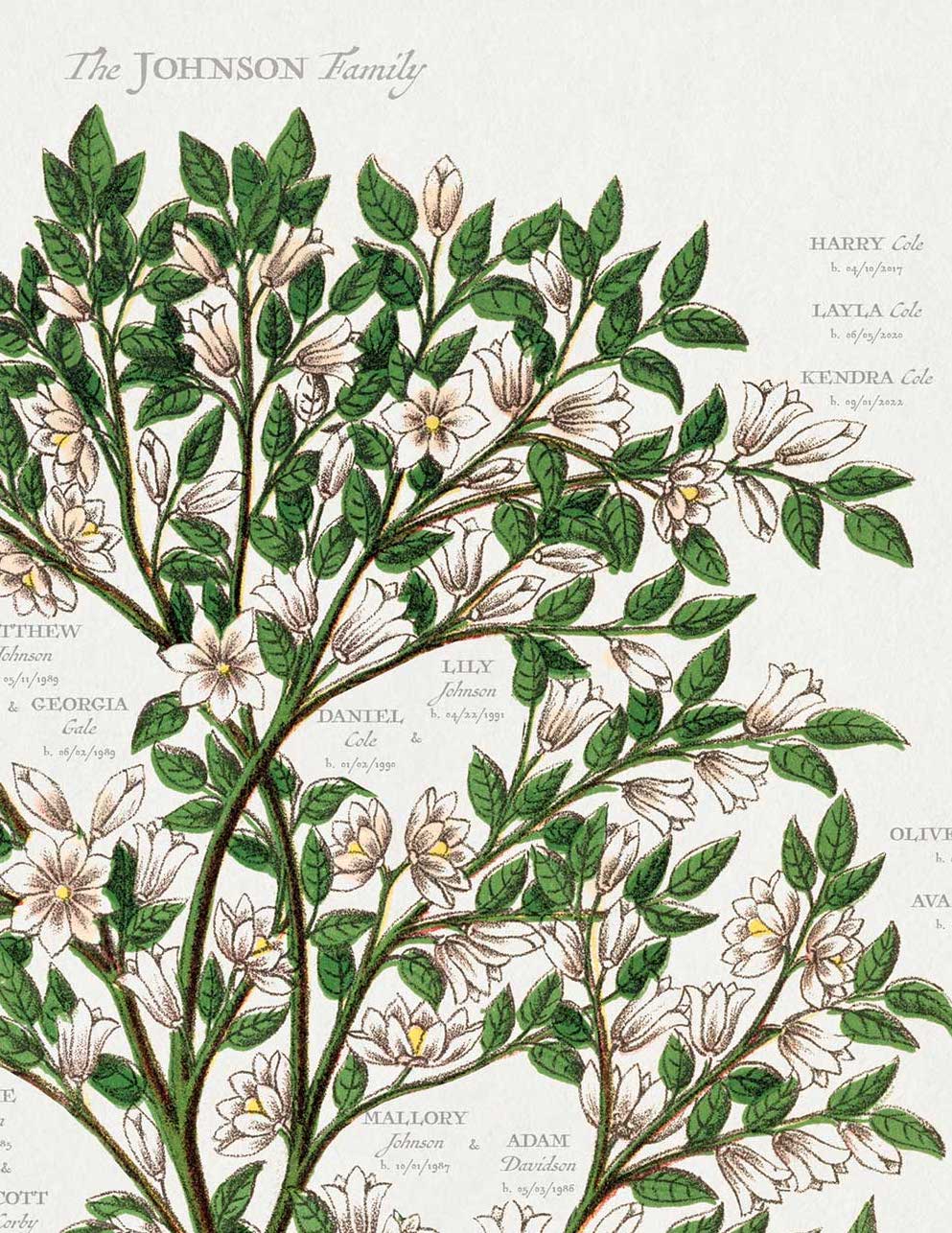 Magnolia Tree Family Botanic-Custom & Framed Family Tree Wall Decor